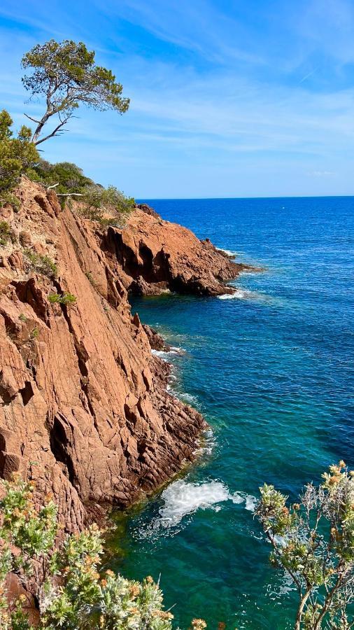 Les Cactus Frejus Plage Fréjus Exterior foto