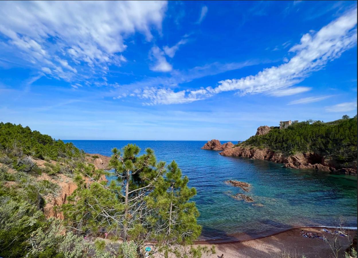 Les Cactus Frejus Plage Fréjus Exterior foto