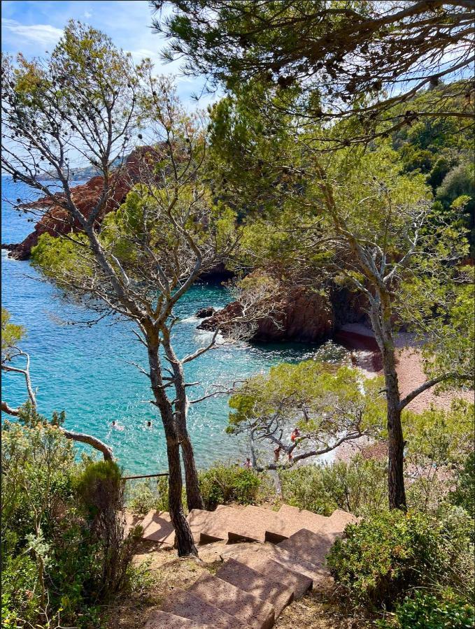 Les Cactus Frejus Plage Fréjus Exterior foto
